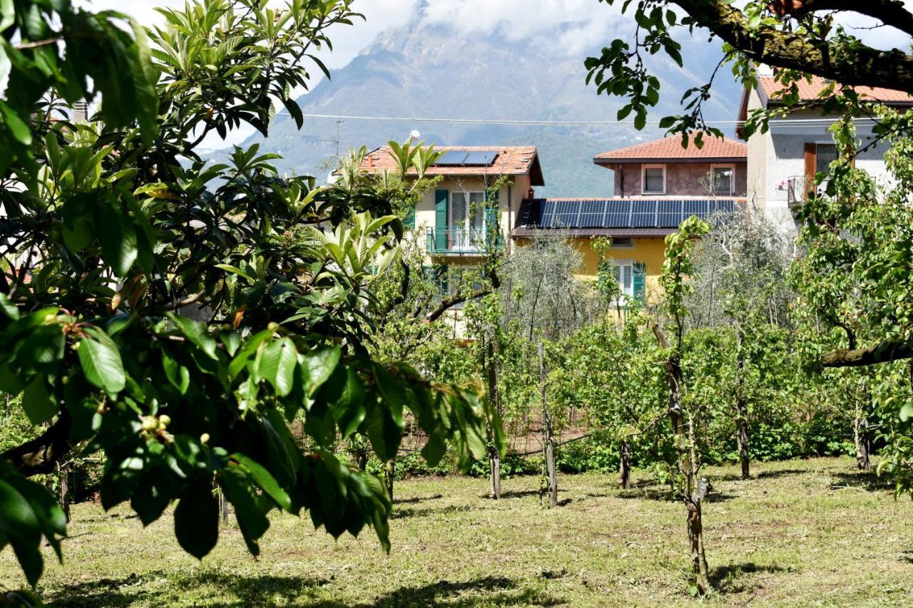 Agriturismo Conca Sandra - Farm Stay On Lake Como Perledo Esterno foto